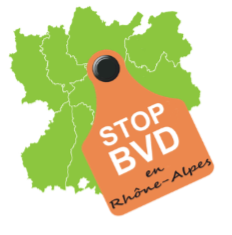 stop bvd